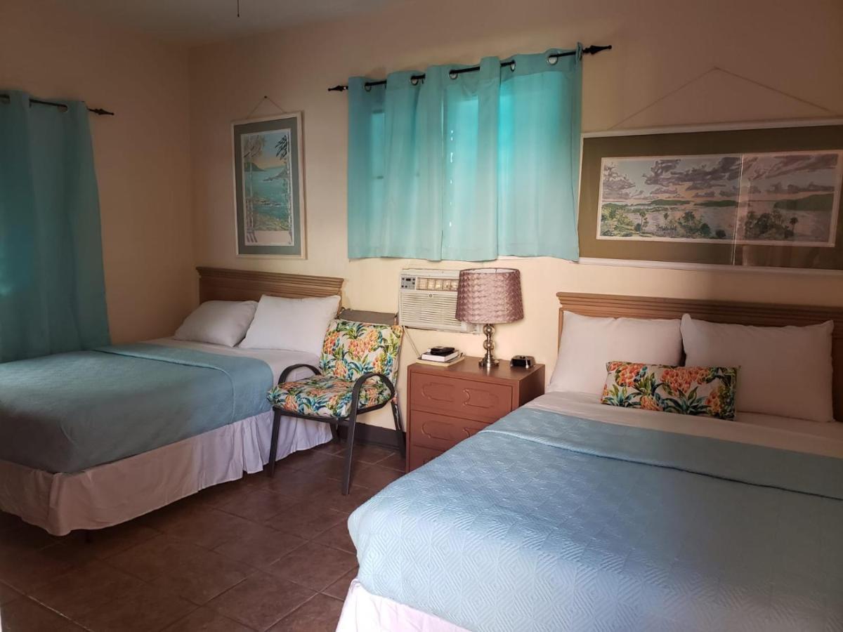 Midtown Guest House ชาร์ลอตต์อะมาลี ภายนอก รูปภาพ